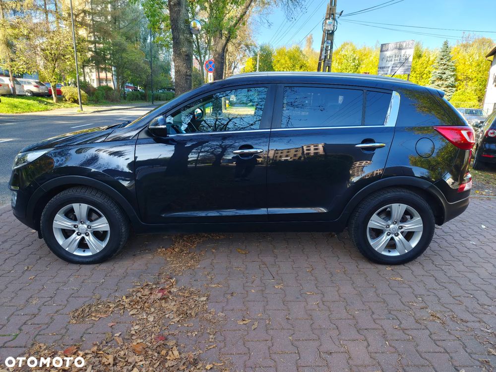 Kia Sportage - 31
