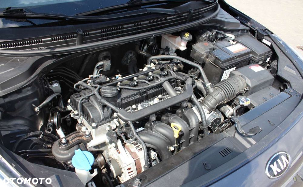 Kia Rio - 24