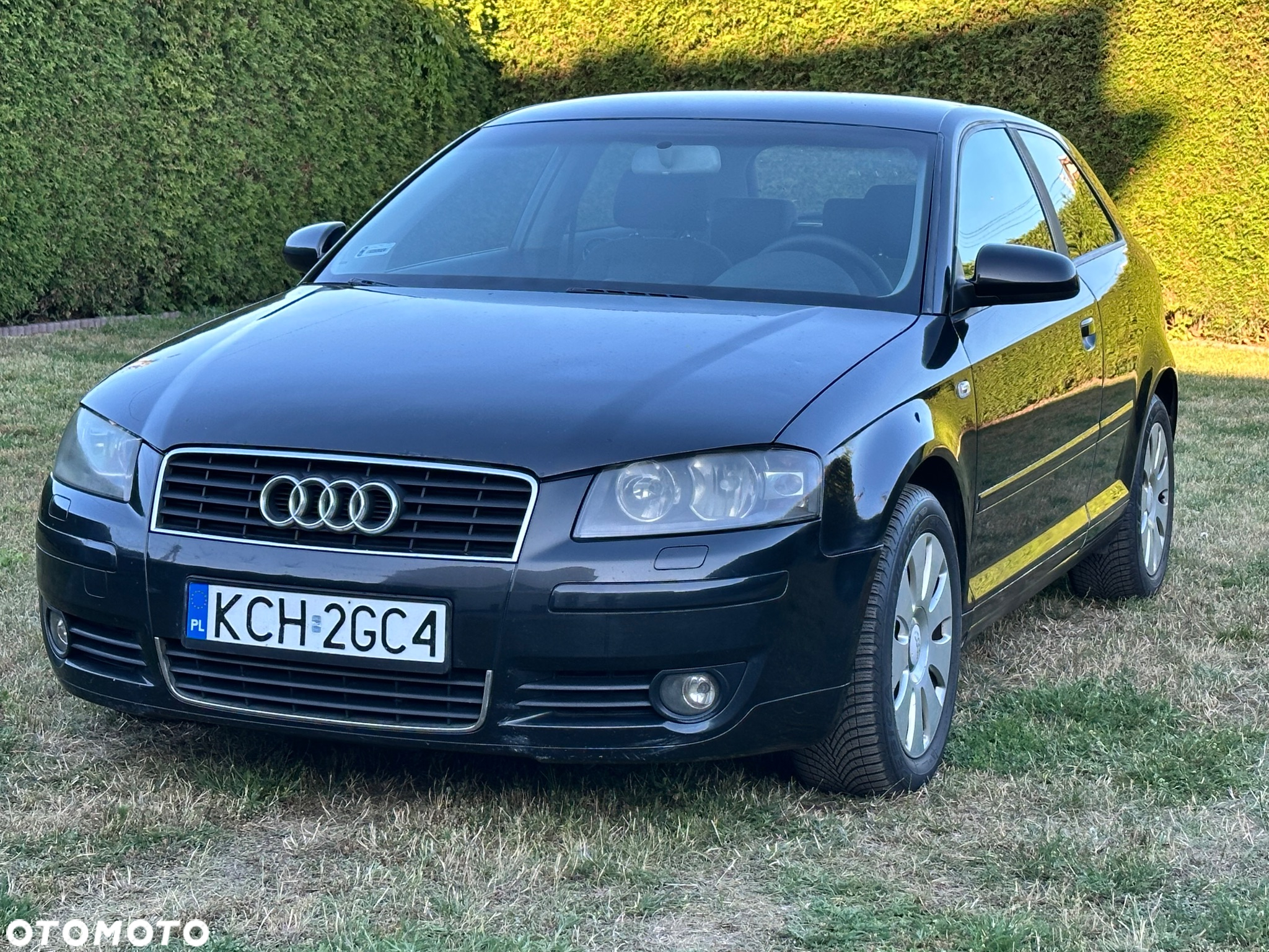 Audi A3 1.9 TDI Attraction - 13