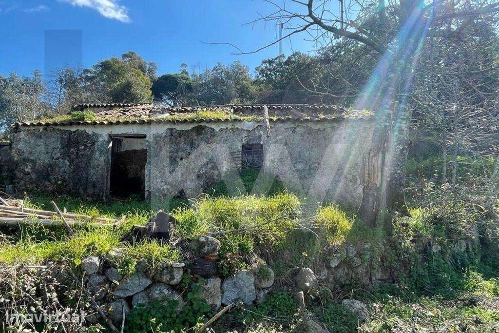 Monchique | Ruína com terreno de 5.380 m2, socalcos em pedra e minas d - Grande imagem: 2/22