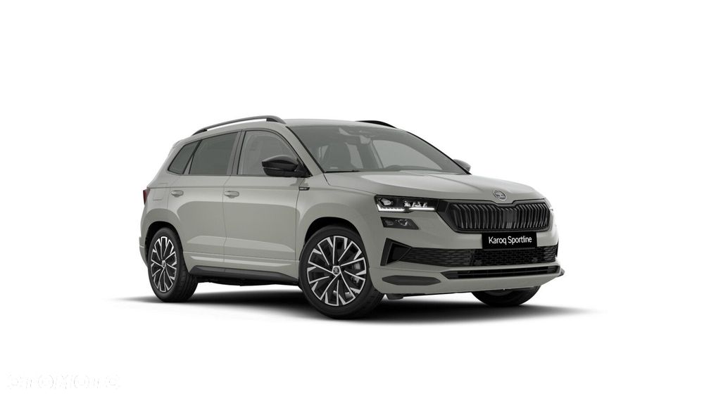 Skoda Karoq - 1