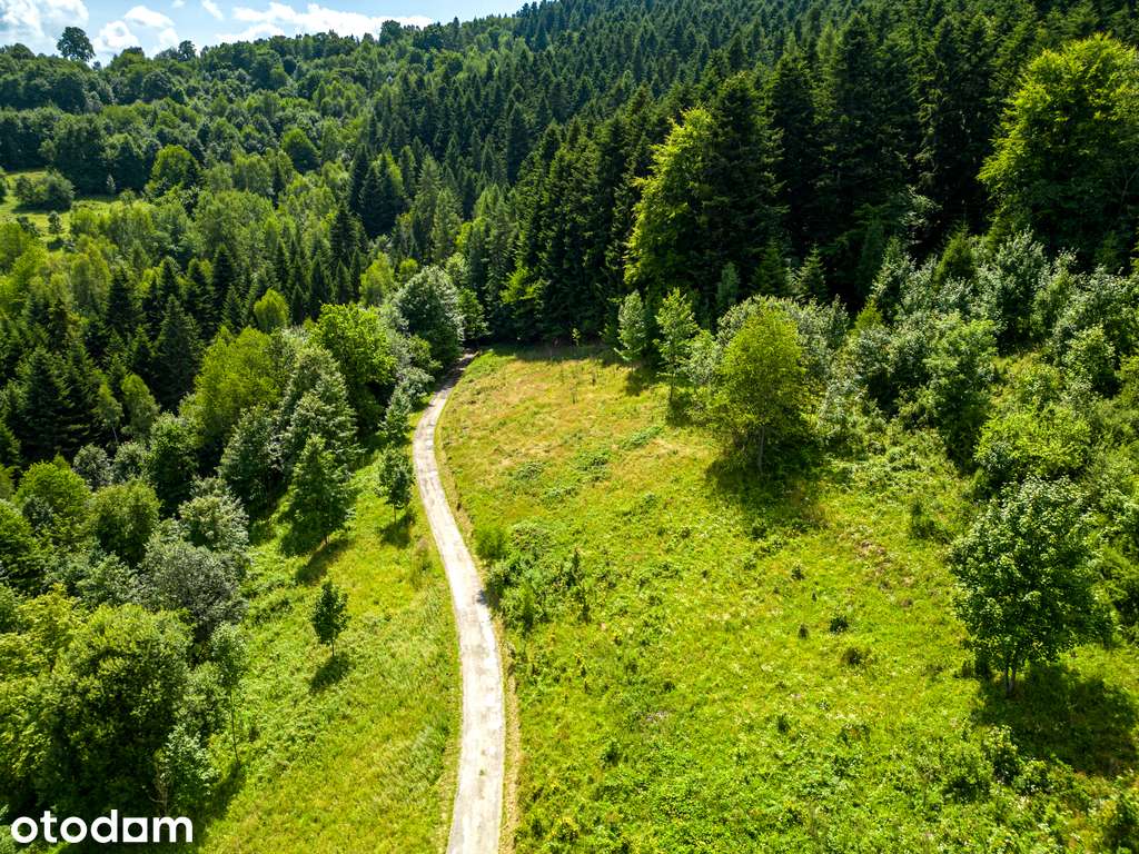 Działka rekreacyjna przy lesie, 3571 m2, cisza! - Pełny obrazek: 4/9