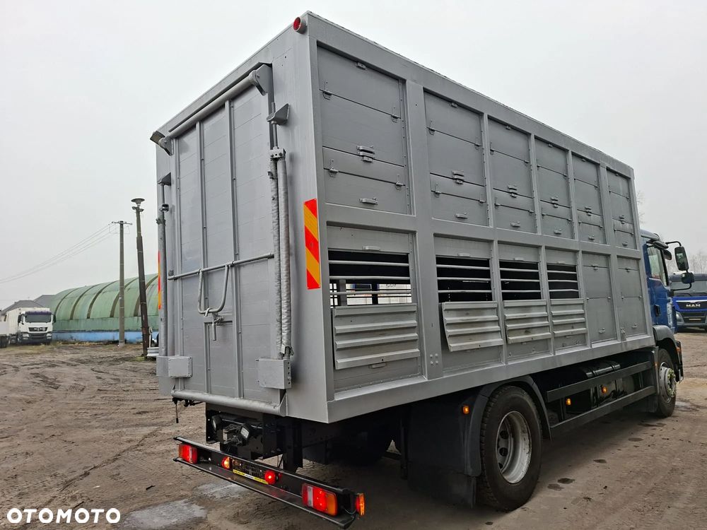 MAN TGM 18.250 4x2 DO ŻYWCA - 5