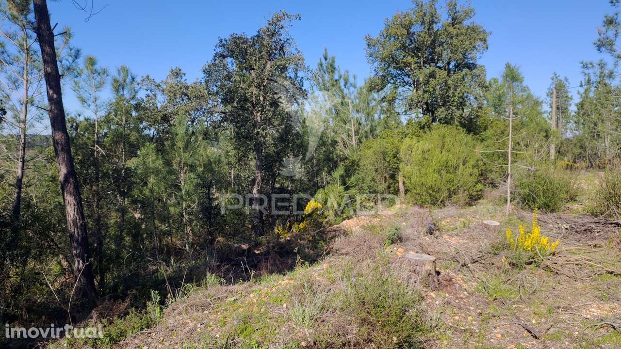 Terreno Rústico 4280 m2 - Grande imagem: 4/33