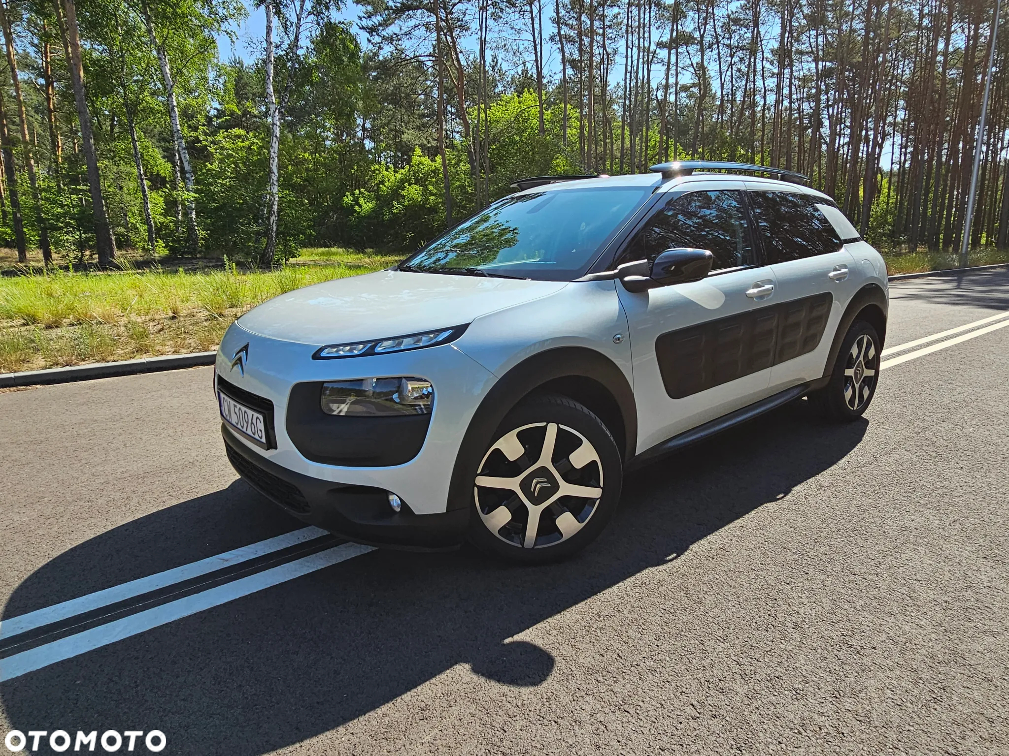 Citroën C4 Cactus 1.6 BlueHDi Shine - 2