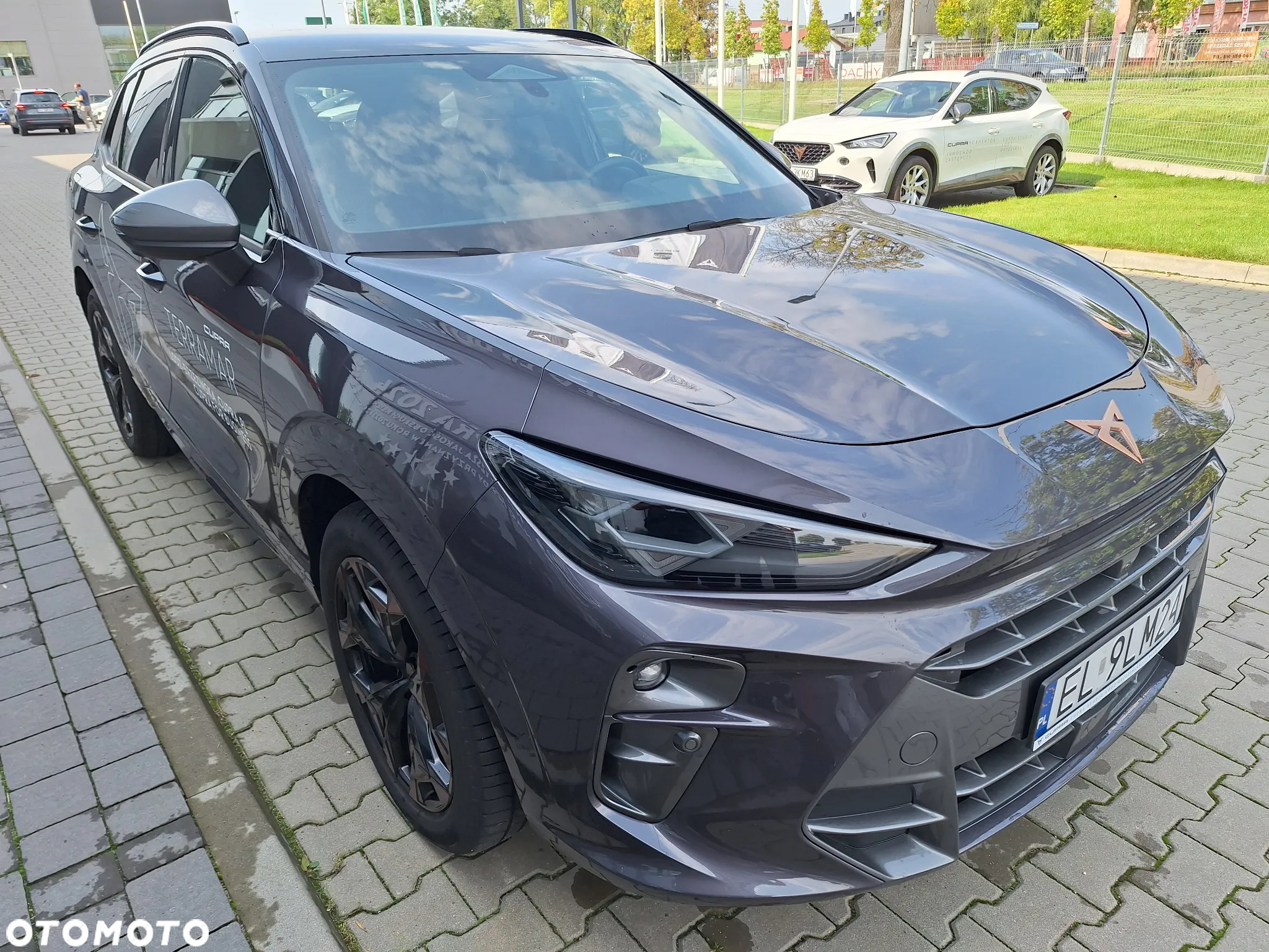 Cupra Terramar - 4