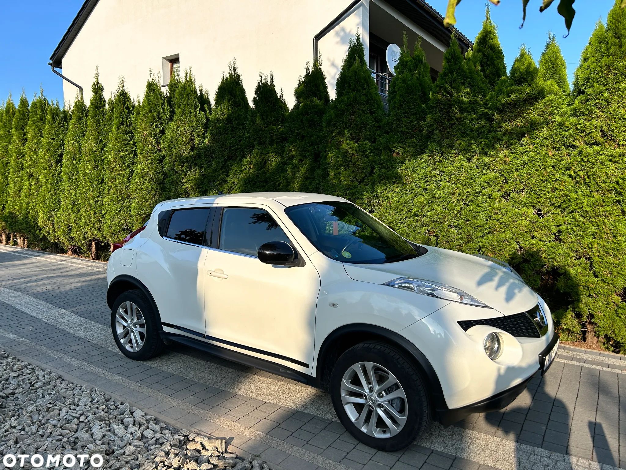 Nissan Juke 1.5 dCi Tekna - 1
