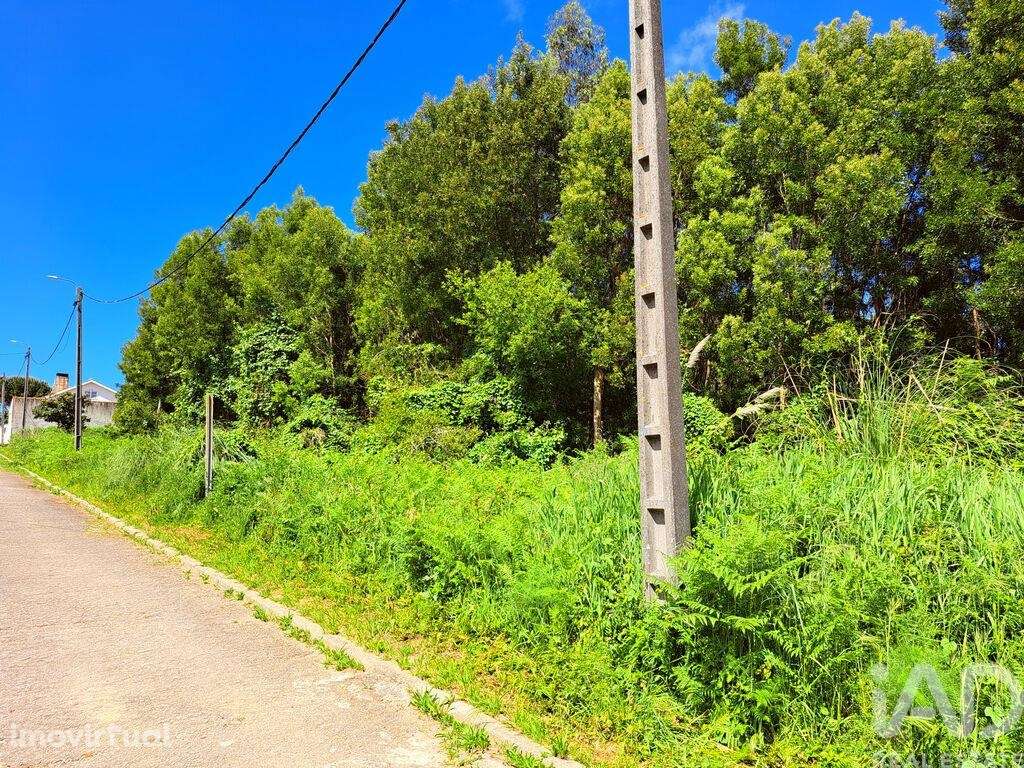 Terreno Agrícola em Esmoriz - Grande imagem: 3/5