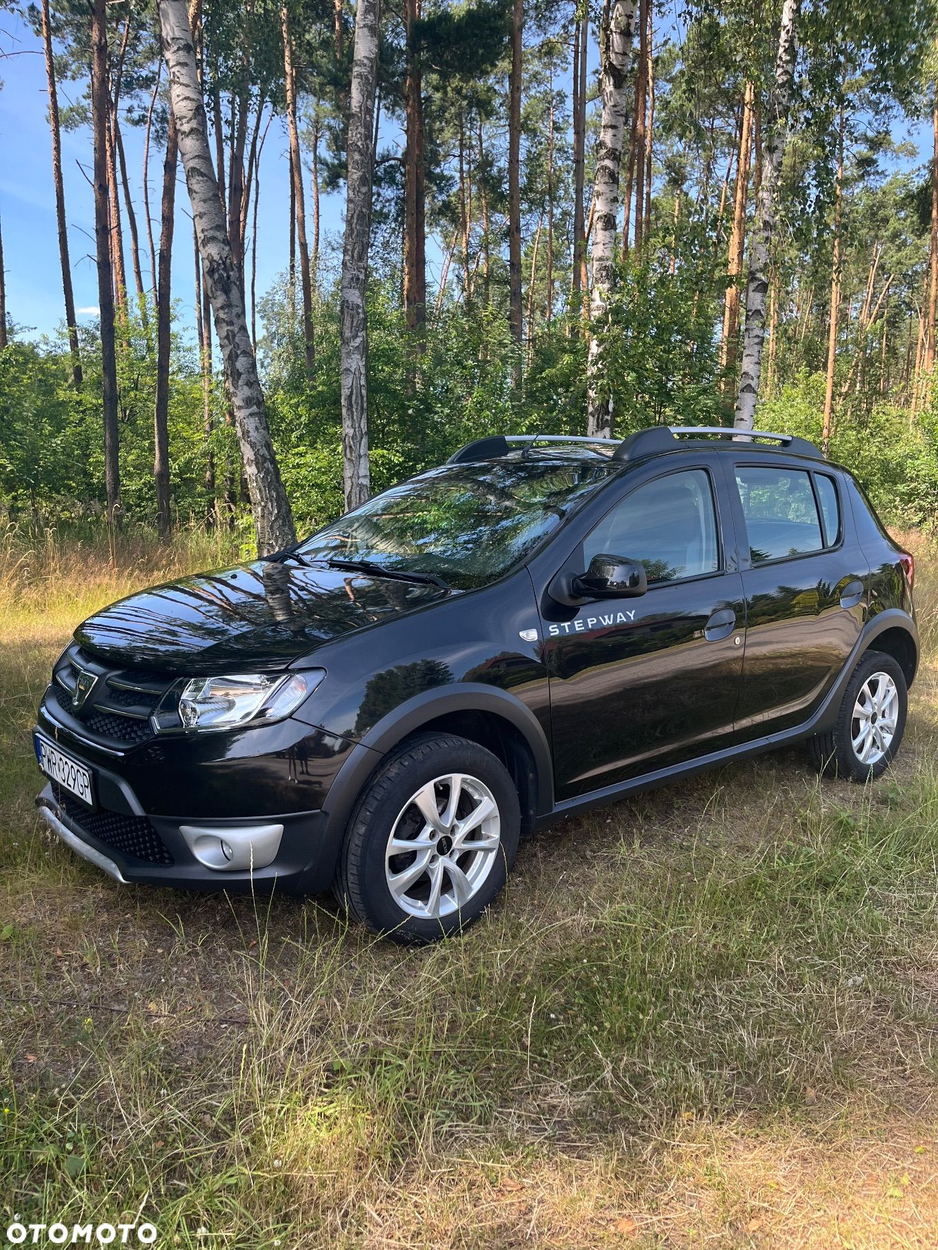 Dacia Sandero - 1