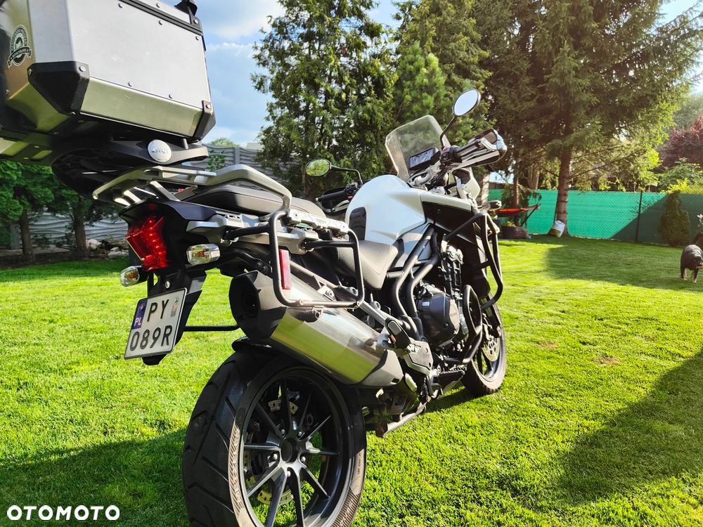 Triumph Tiger - 9