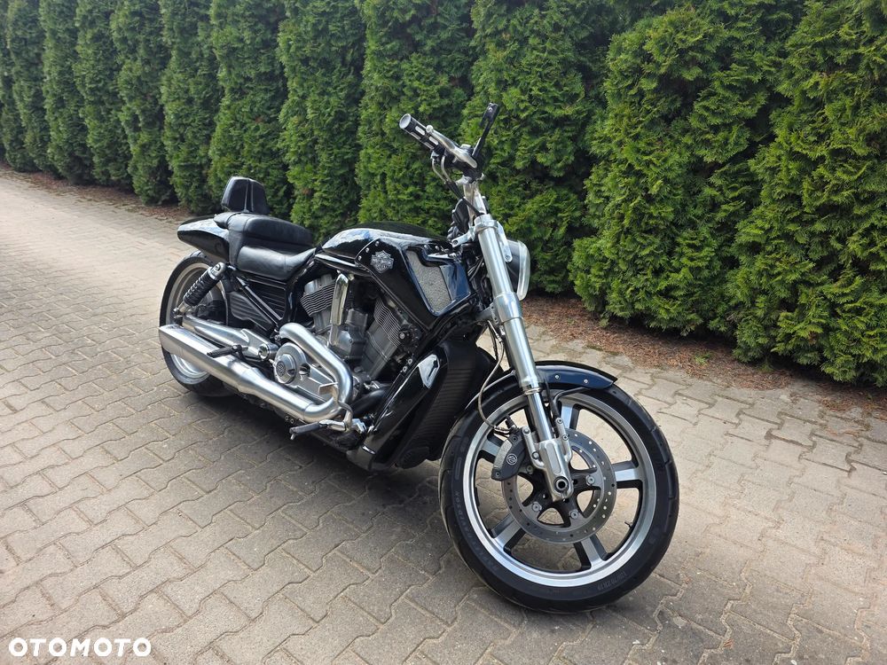 Harley-Davidson V-Rod Muscle - 9