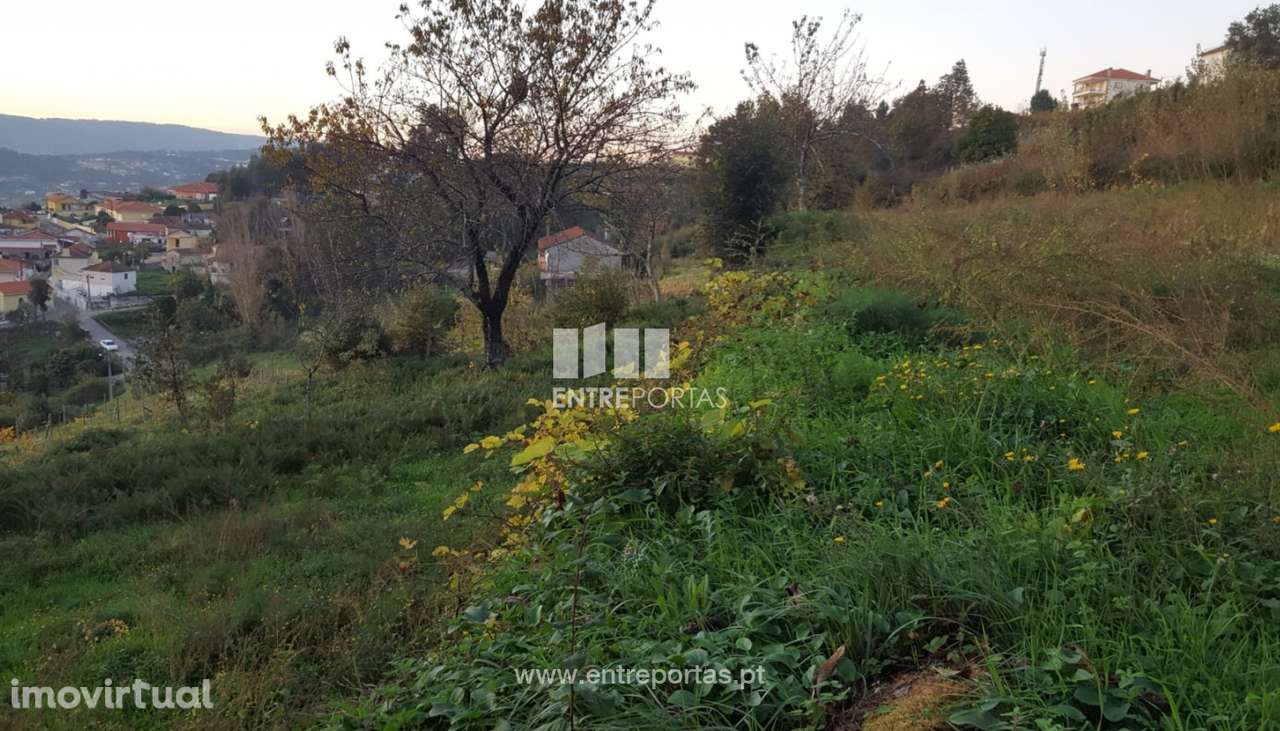 Venda de Terreno com área de 12740 m2, Souselo, Cinfães - Grande imagem: 4/23