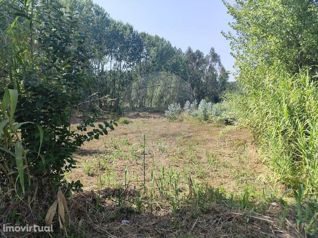 Terreno  para venda - Grande imagem: 2/4