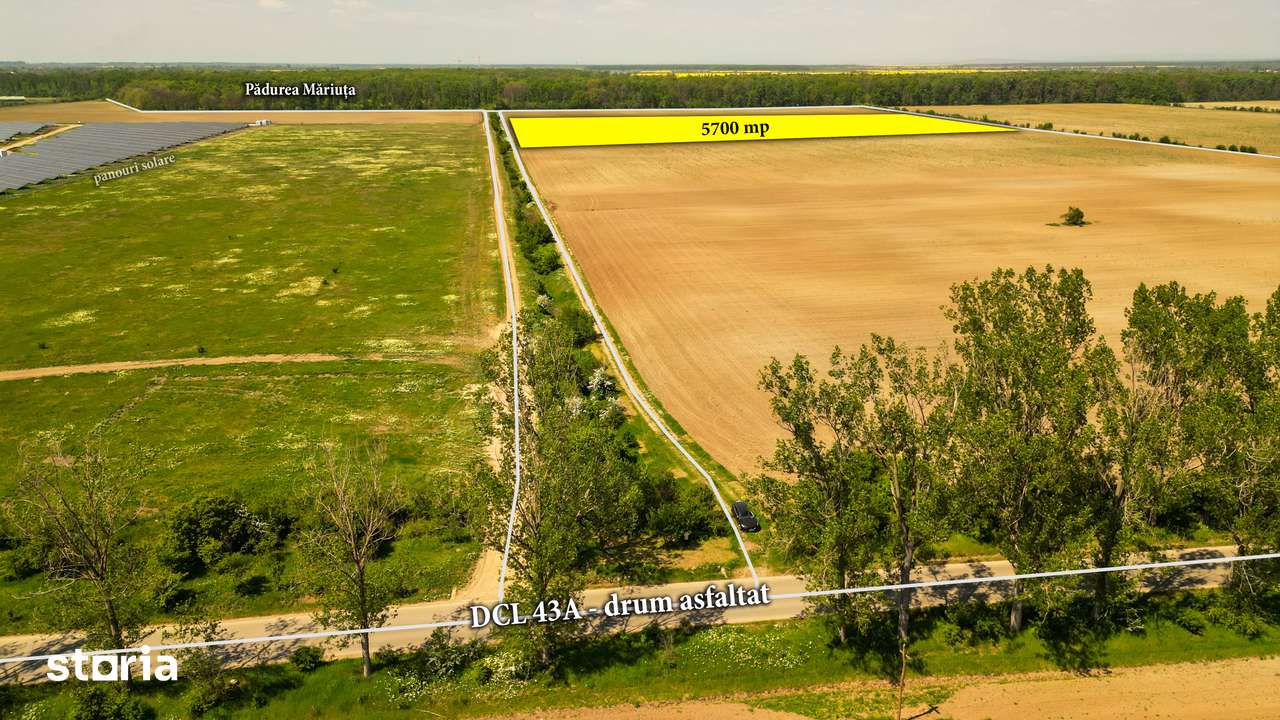 PLATA ÎN RATE: Teren intravilan 5700 mp Răcari lângă Pădurea Măriuța - Imagine principală: 3/5