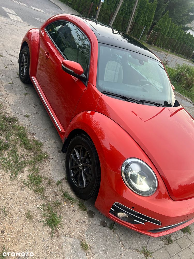 Volkswagen Beetle - 27