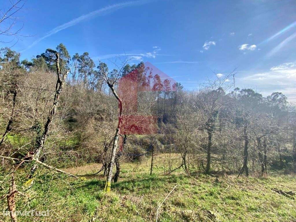 Terreno Agrícola / Florestal, Pico - Grande imagem: 4/29