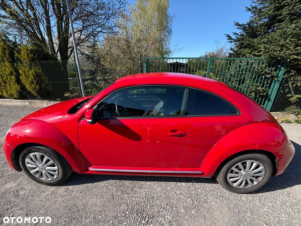 Volkswagen Beetle - 5