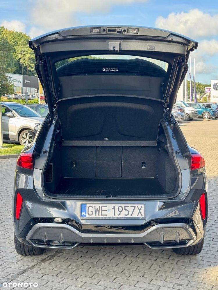 Cupra Terramar - 10