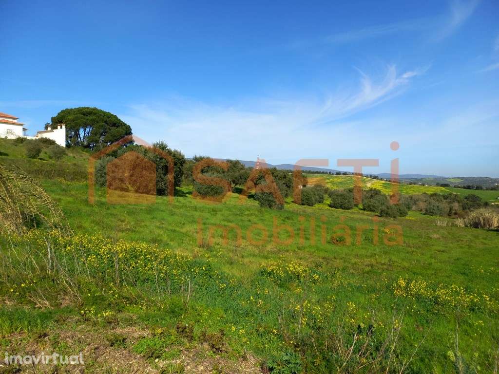 Vende-se Terreno Rústico em Torres Novas - Grande imagem: 3/4