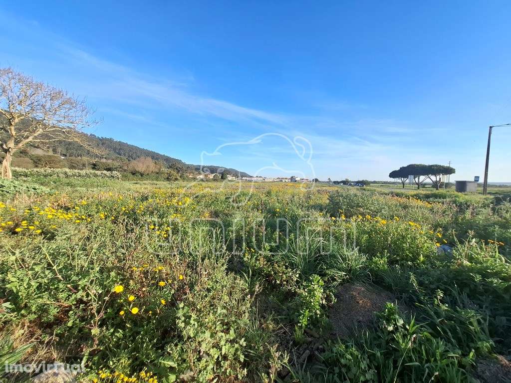 Terreno para construção em Carreço - Grande imagem: 2/4