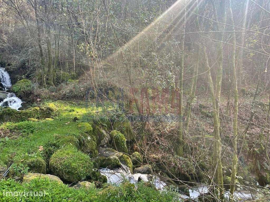 Terreno em São Miguel - Caniçada (Gerês) - Grande imagem: 5/22