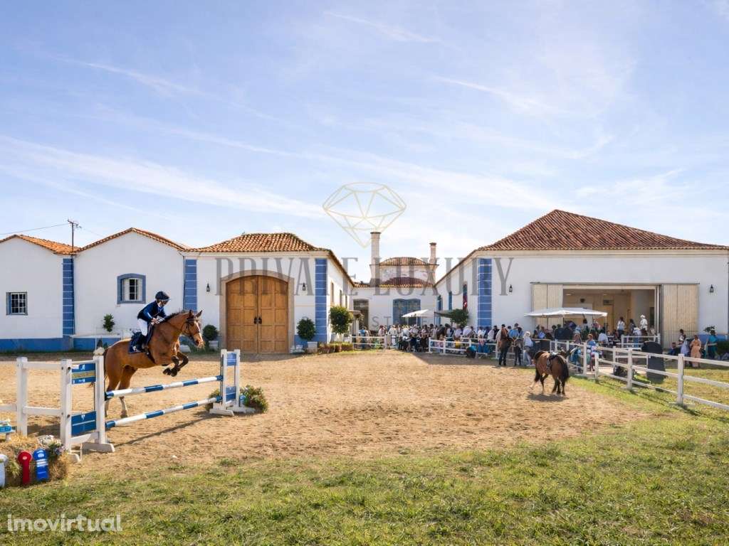 Quinta de renome em plena Vidigueira - Grande imagem: 5/43