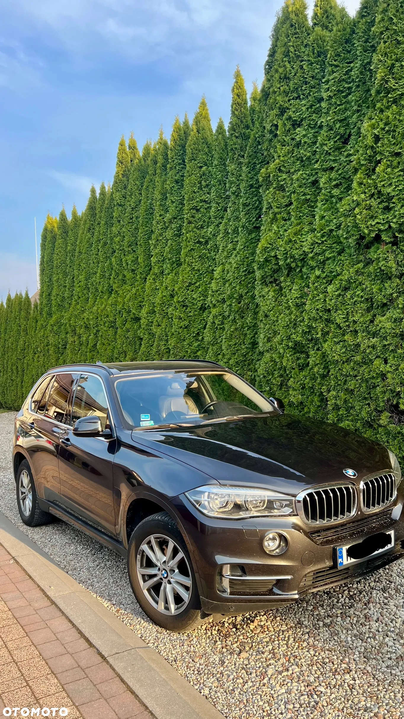 BMW X5 xDrive25d - 4