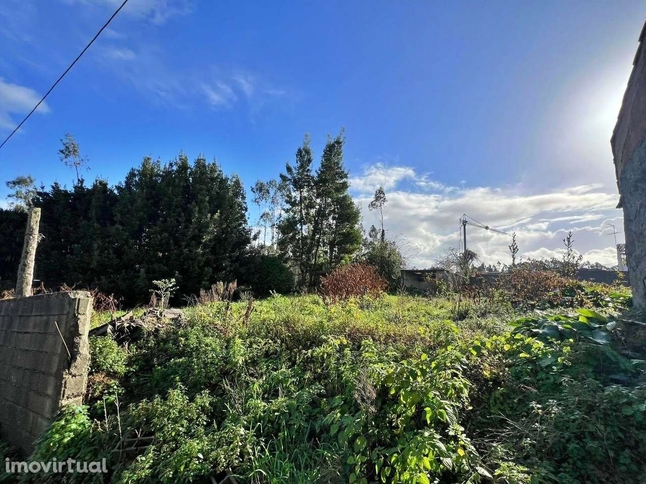Terreno com Projeto Aprovado para Moradia T3 Térrea em Tougues, Vila d - Grande imagem: 5/12