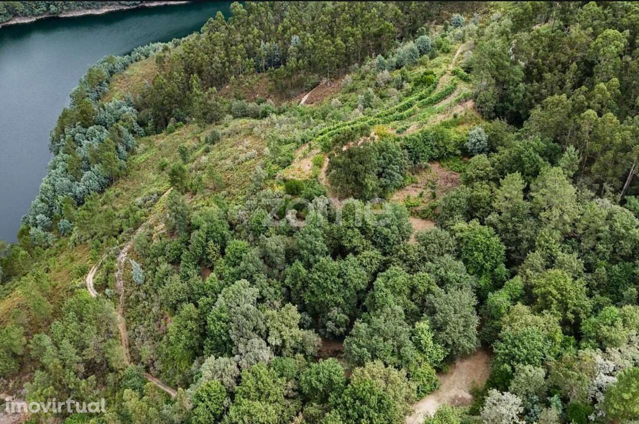 Terreno à Venda - Gerês - Grande imagem: 2/3