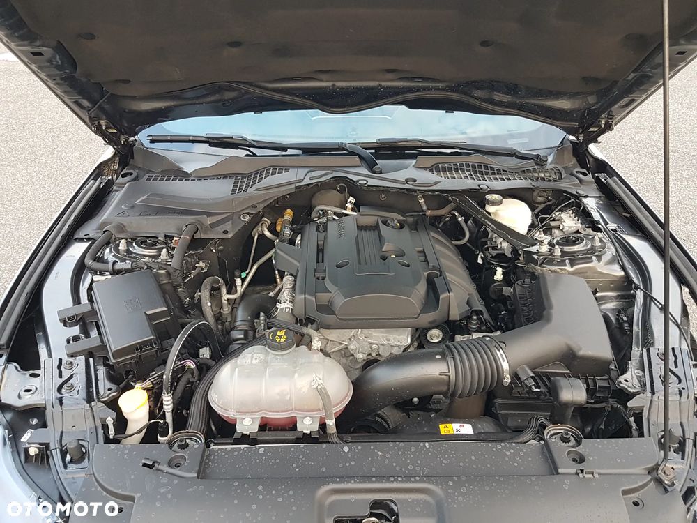 Ford Mustang 2.3 EcoBoost - 13