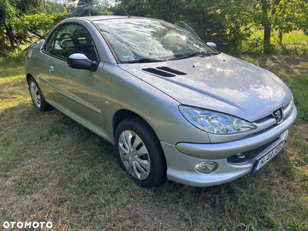 Peugeot 206 - 6