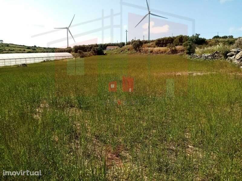 terreno rustico em Fontelas , com 1200 m2. - Grande imagem: 3/3