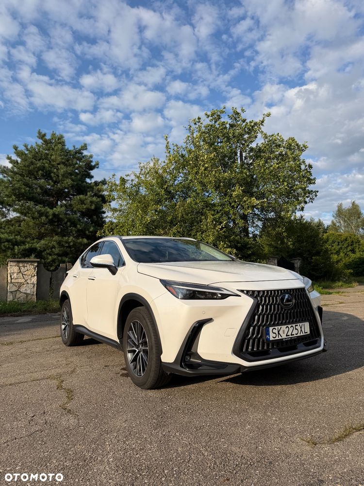 Lexus NX 350h Business AWD - 7