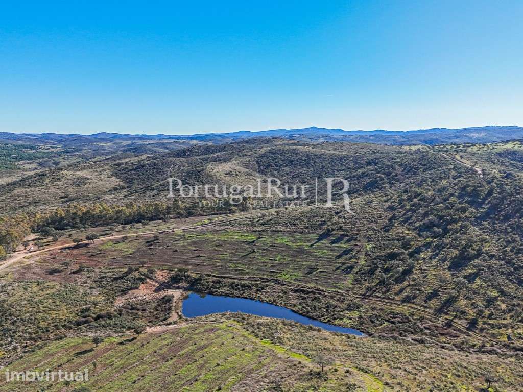 Herdade de Caça Maior com 1000 Hectares + 4 Apartamentos + Anexos - Grande imagem: 4/49