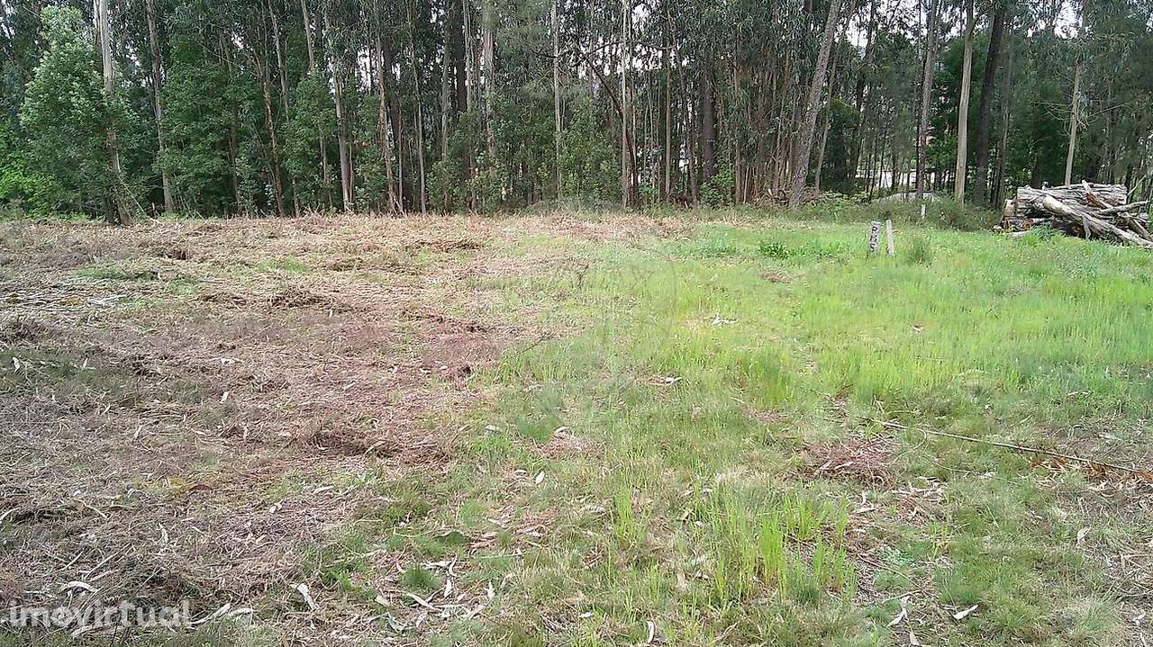 Terreno  para arrendamento - Grande imagem: 4/7