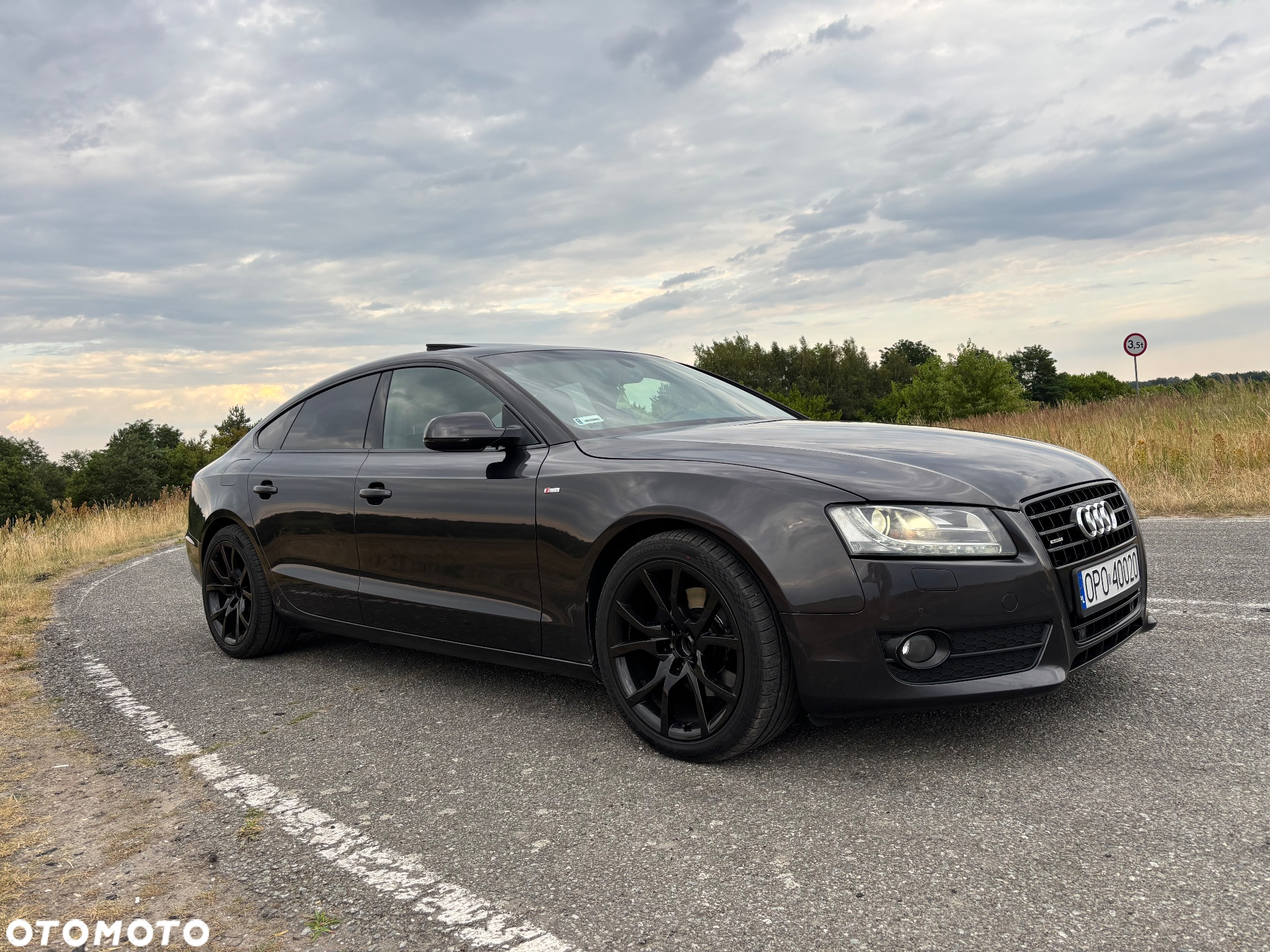 Audi A5 3.0 TDI Quattro S tronic - 3