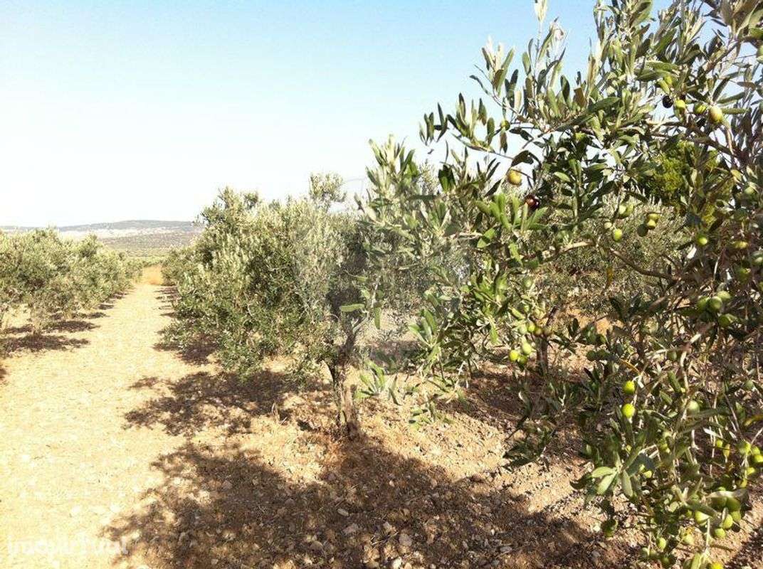 Terreno  para venda - Grande imagem: 4/10