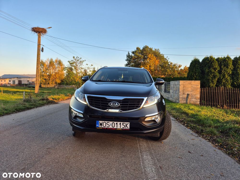 Kia Sportage - 3