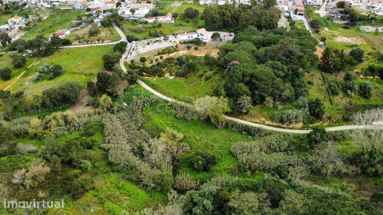 Fantástico Terreno de 6000 m2 para investimento - Grande imagem: 5/14