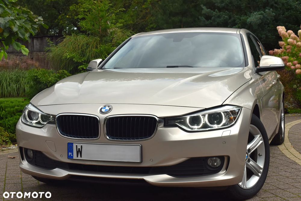 BMW Seria 3 318d Blue Performance Luxury Line - 2