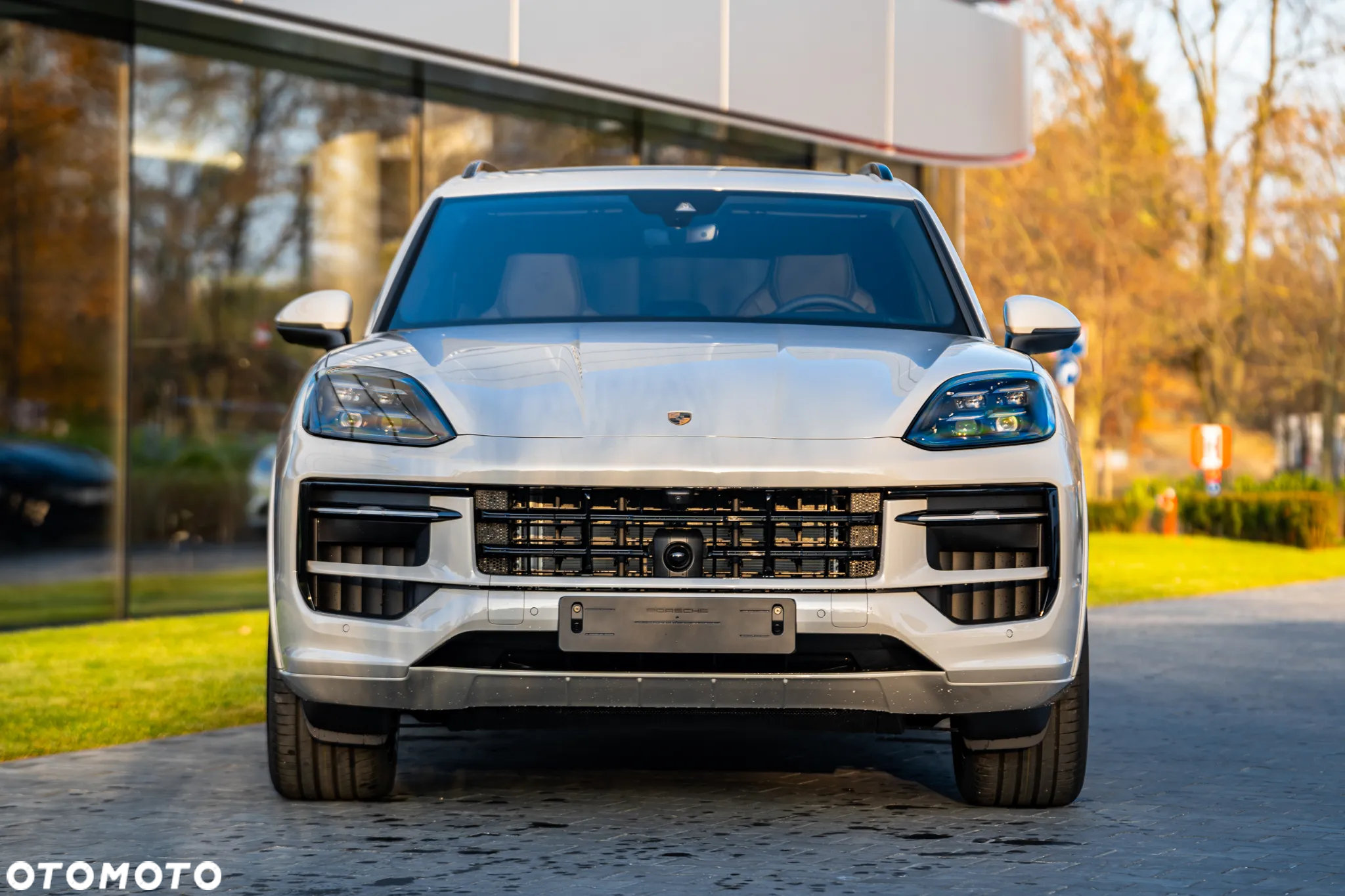 Porsche Cayenne S E-Hybrid PHEV - 2