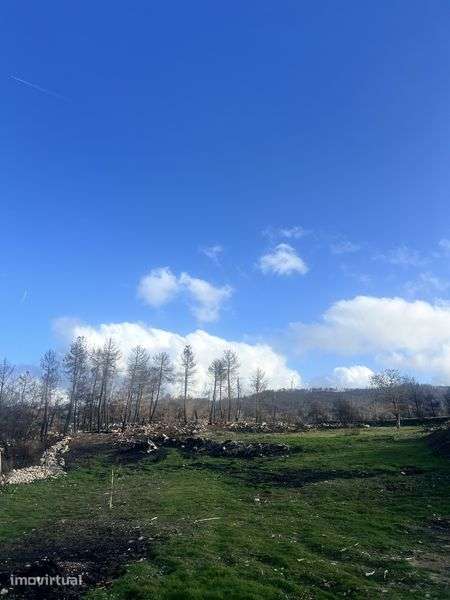 Vende-se terreno rustico ou troco - Grande imagem: 3/5