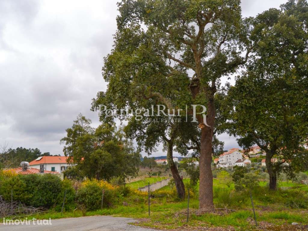 Lote com 2.017 m² para construção em Proença-a-Nova - Grande imagem: 3/10