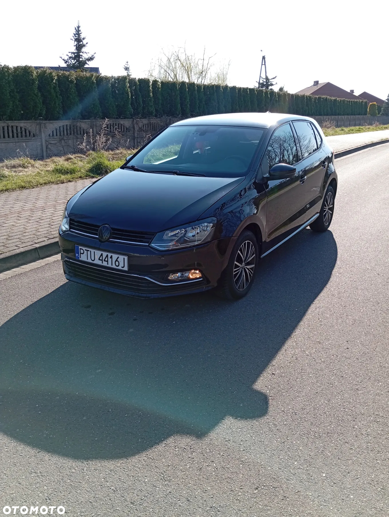 Volkswagen Polo - 2