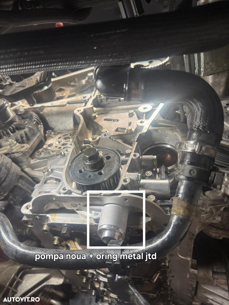 Alfa Romeo Stelvio 2.2 16V AT8-Q4 Executive - 16