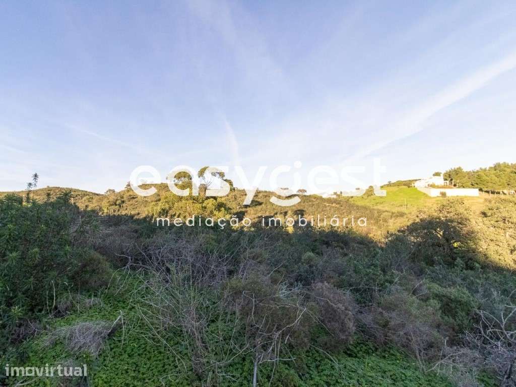 Lote de Terreno Rustico para cultura de sequeiro no Lavajo - Grande imagem: 5/11