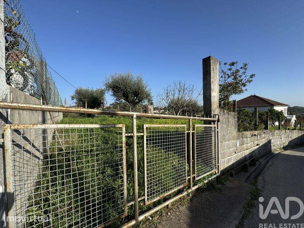 Terreno para construção em Serra e Junceira - Grande imagem: 2/6
