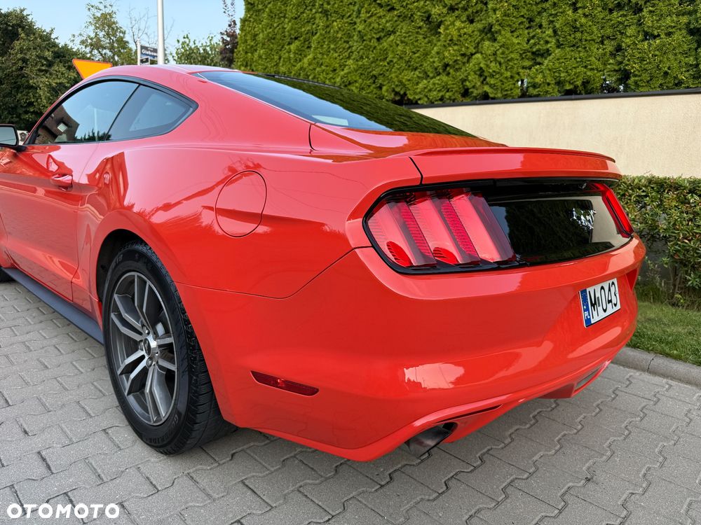 Ford Mustang 2.3 EcoBoost - 15
