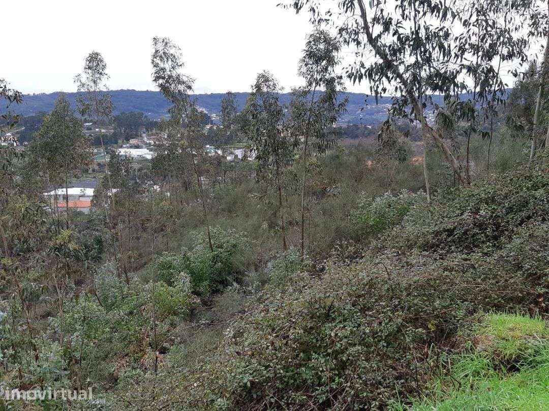 Terreno em Rio de Moinhos Penafiel - Grande imagem: 2/6