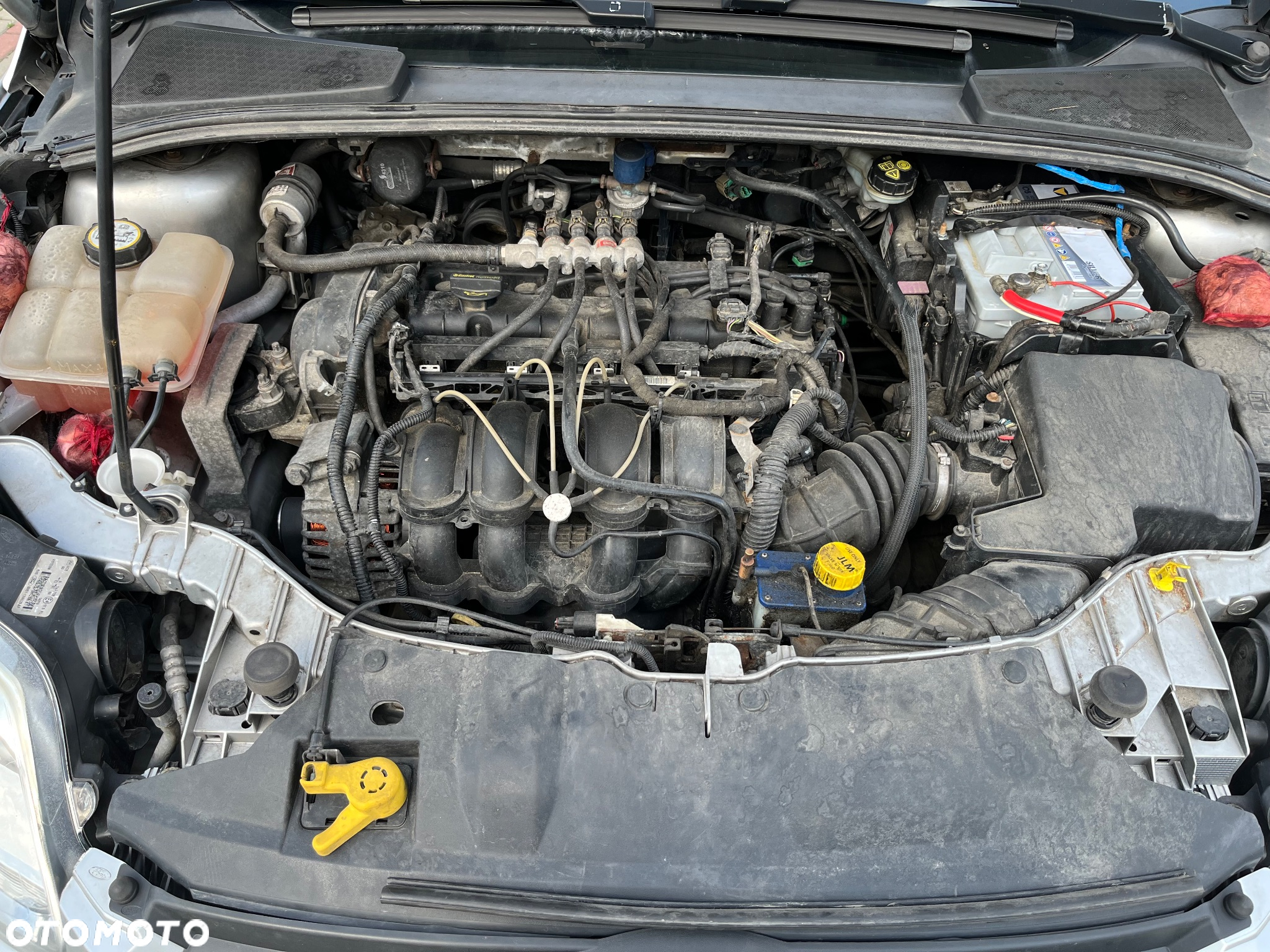 Ford Focus - 8